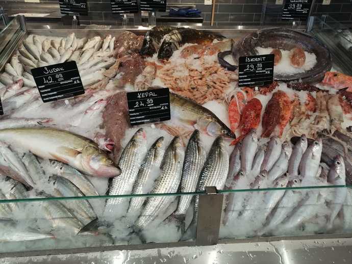 CarrefourSAda çeşit çeşit balık var. En lezzetli balık hangisi?