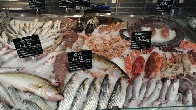 CarrefourSA'da çeşit çeşit balık var. En lezzetli balık hangisi?
