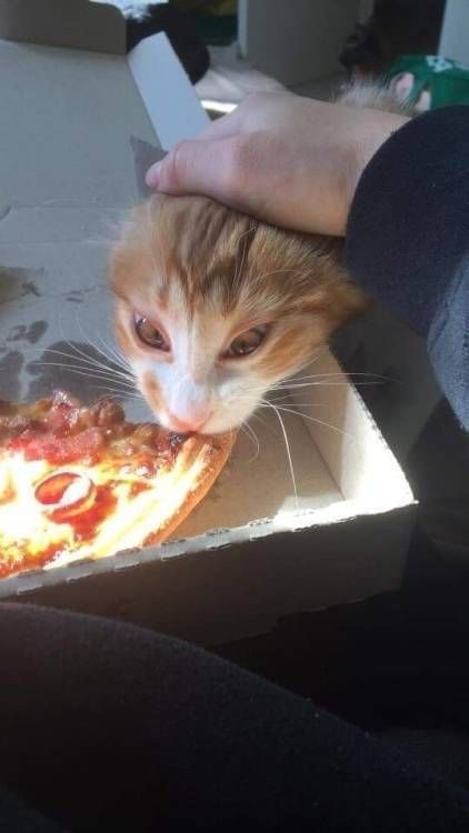 Lahmacun mu pizza mı hangisini tercih edersiniz?