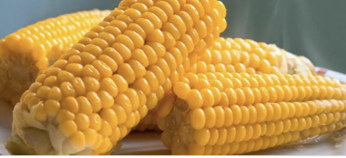 Patlamış Mısır mı süt mısırı mı🌽🌽?