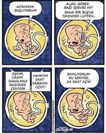 Kadınlarda hamilelik sürecinde aşerme neden olur?