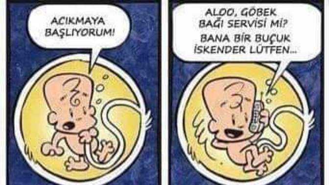 Kadınlarda hamilelik sürecinde aşerme neden olur?
