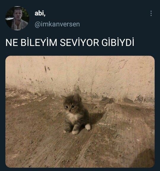 Sizi seven insanların sevgisinden emin misiniz?