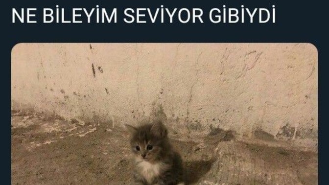 Sizi seven insanların sevgisinden emin misiniz?