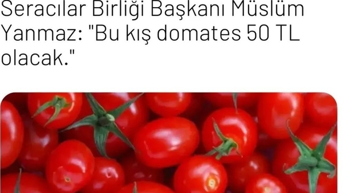 Kış aylarında en ucuz domates 50tl olacakmış ne düşünüyorsunuz?