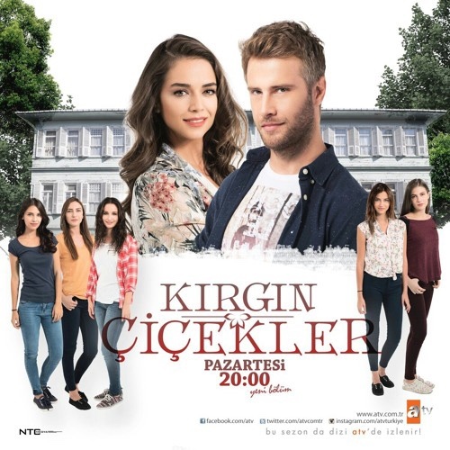 Dizilerin amacı ne?