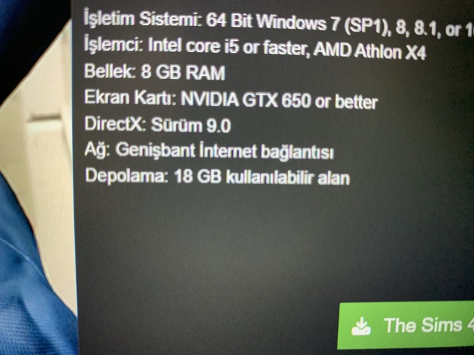 Depolama alanım Sims 4 için yeterli mi?