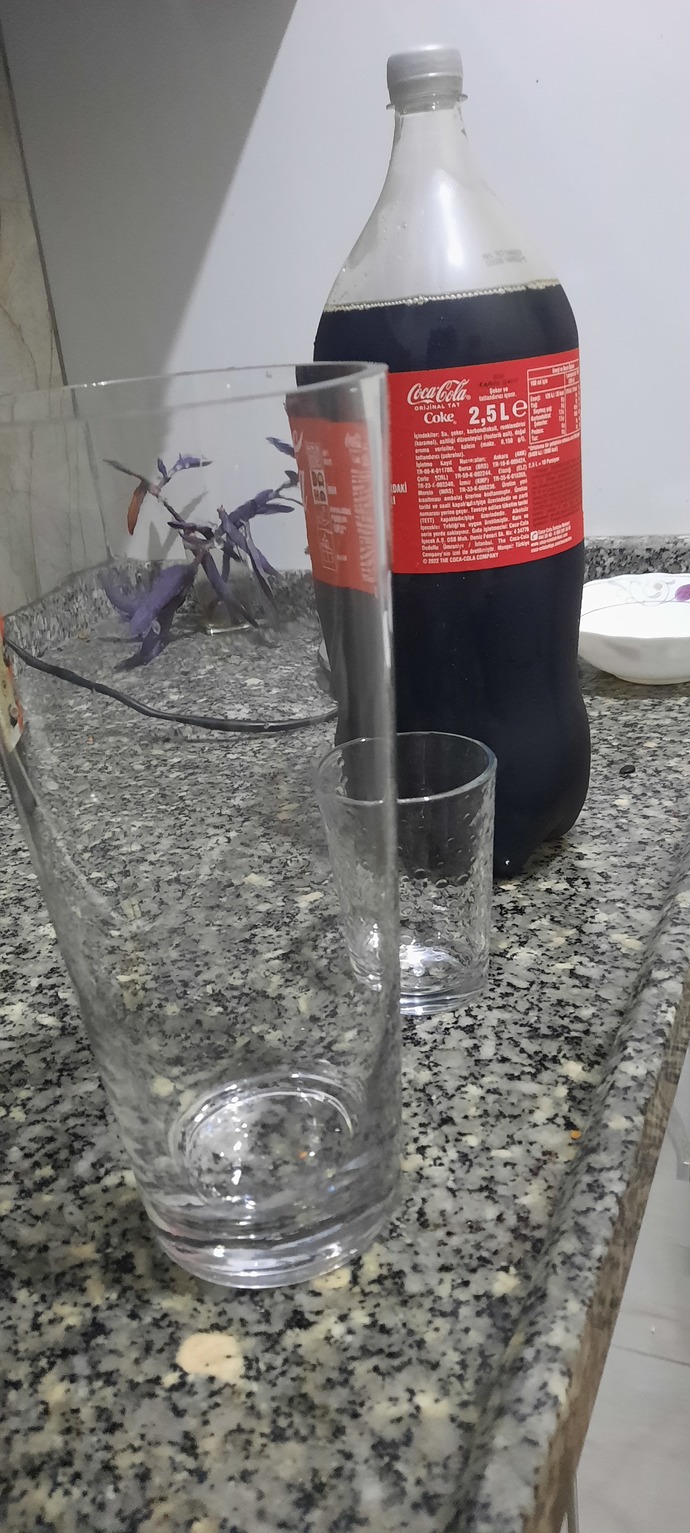 Siz olsanız kolayı hangi bardakta içerdiniz?
