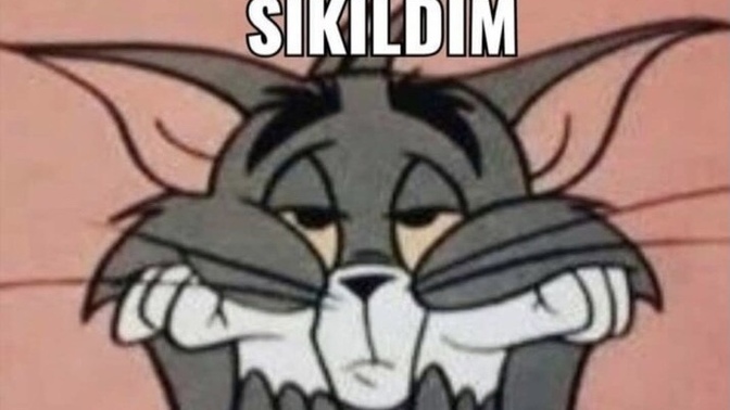 Ne olacak bizim bu halimiz?