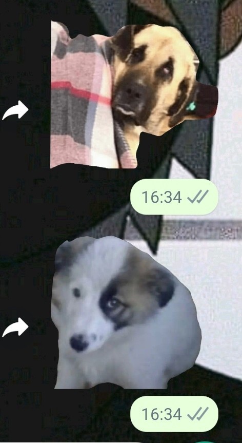 Favori çıkartmanız ne?