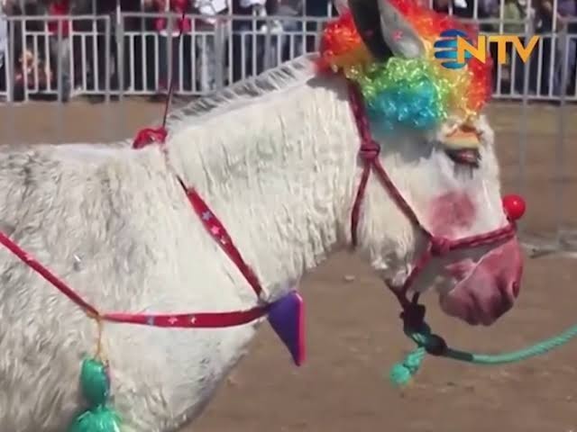 Lila elbisemle karşınızdayım. Nasıl olmuşum?