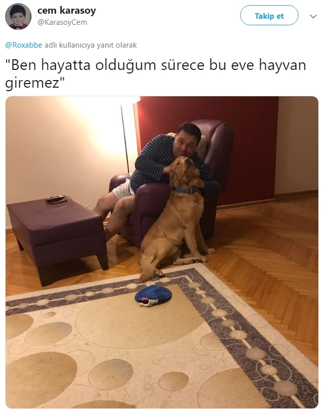 Evde hayvan istemeyen ebeveyn vakalarına hala son veremedik mi🥲?