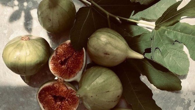 İncir vegan mıdır?