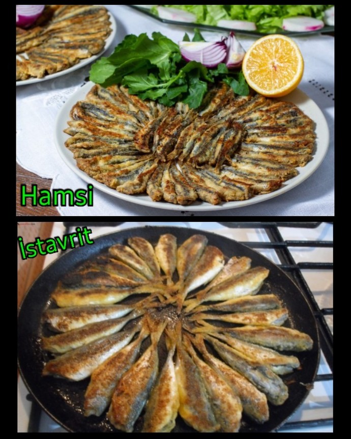 Balık yemeyi seviyor musunuz? 🐟 En sevdiğiniz balık türü nedir?