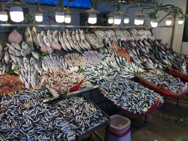 Balık yemeyi seviyor musunuz? 🐟 En sevdiğiniz balık türü nedir?
