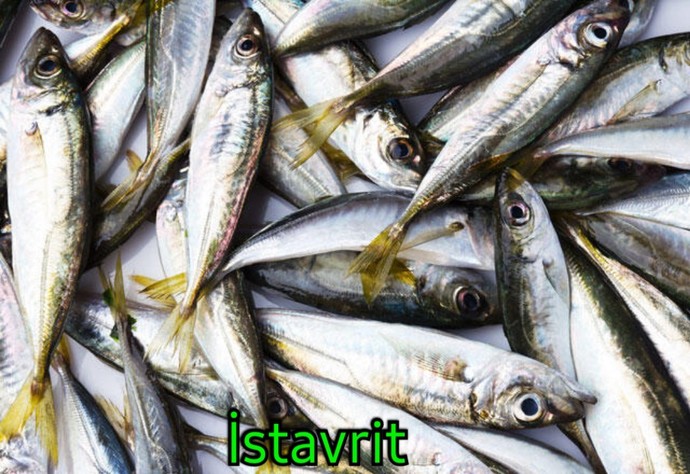 Balık yemeyi seviyor musunuz? 🐟 En sevdiğiniz balık türü nedir?