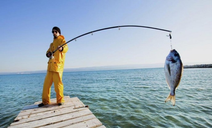 Balık yemeyi seviyor musunuz? 🐟 En sevdiğiniz balık türü nedir?