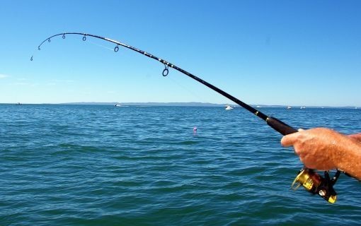 Balık yemeyi seviyor musunuz? 🐟 En sevdiğiniz balık türü nedir?