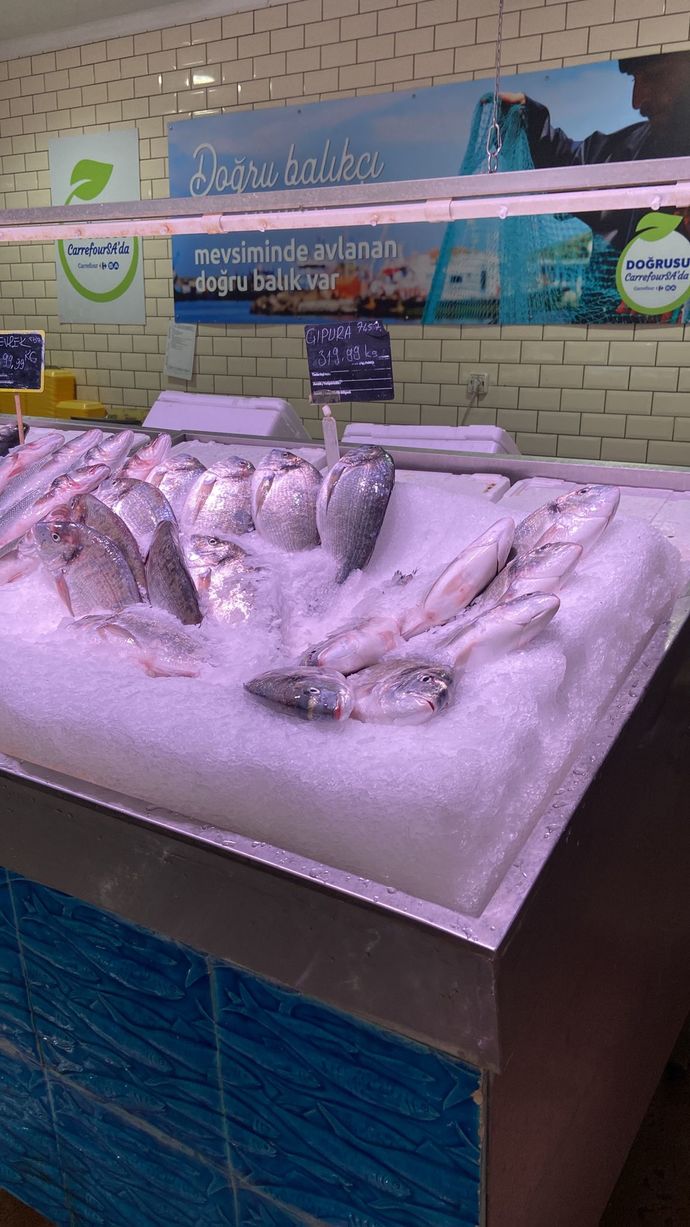 Balık yemeyi seviyor musunuz? 🐟 En sevdiğiniz balık türü nedir?