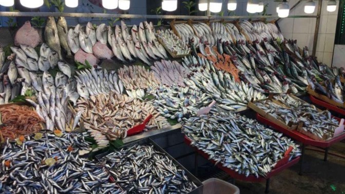 Balık yemeyi seviyor musunuz? 🐟 En sevdiğiniz balık türü nedir?