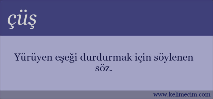 Fatih Terim belgeselinin reklamını yapmak istemeyen 3 kiracısını evden çıkardı! Erkeklerin Terim sevdası nereden geliyor?