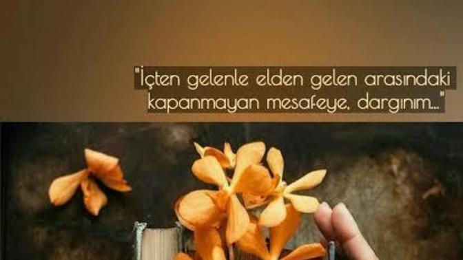Kime/neye dargınsınız?