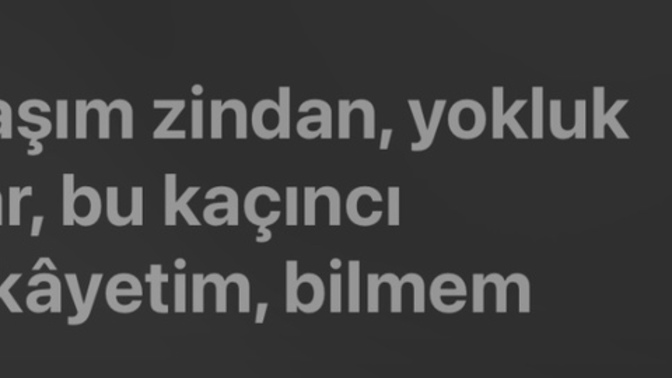 Sizin hayata ya da yaşadıklarınıza karşı şikayetiniz var mı?