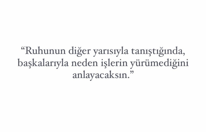 Ruhunuzun diger yarısıyla tanıştınız mı?