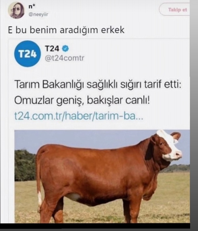 Sevgilinizi bir hayvana benzetecek olsanız hangisi olurdu?