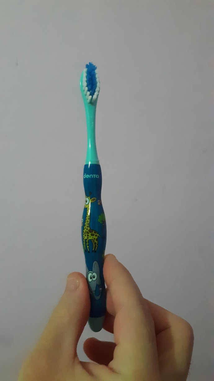 bir adet fırça