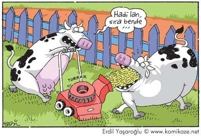 Ne yemek olsa yesek?
