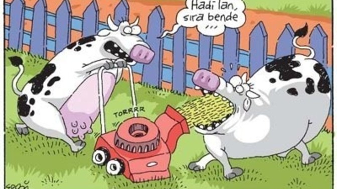 Ne yemek olsa yesek?