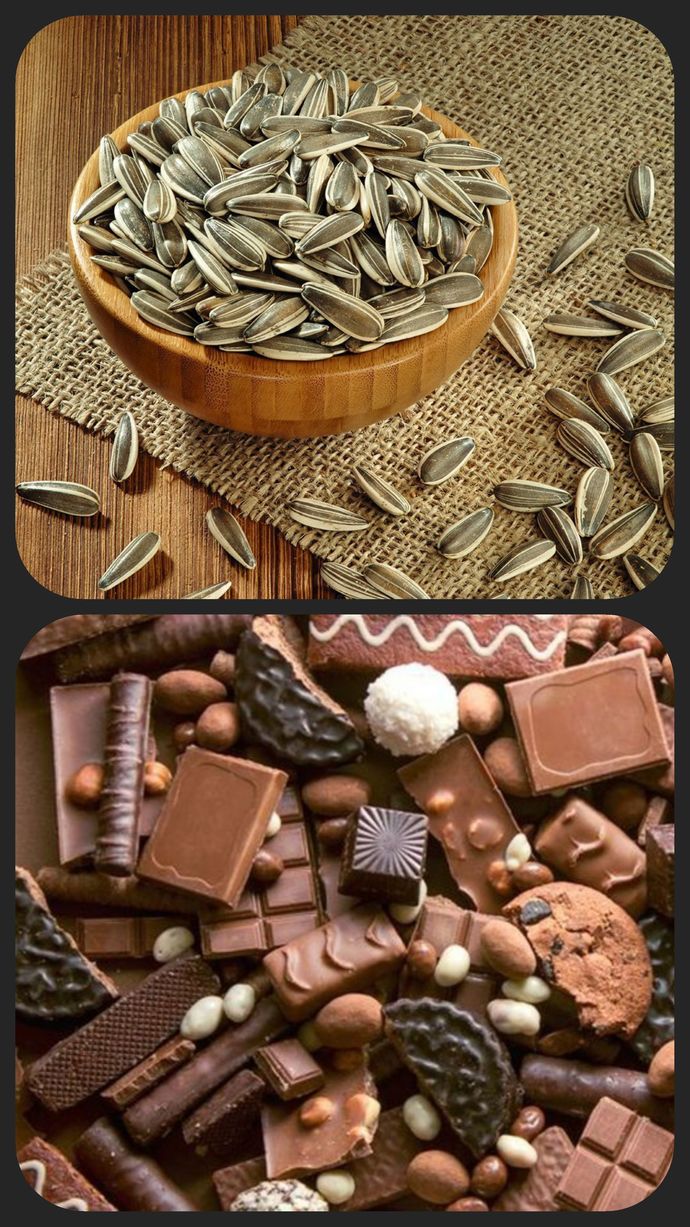 Çikolata mı, çekirdek mi?