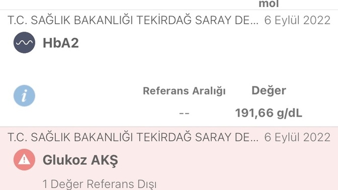 Bunlardan anlayan var mı? Bakabilir mi?