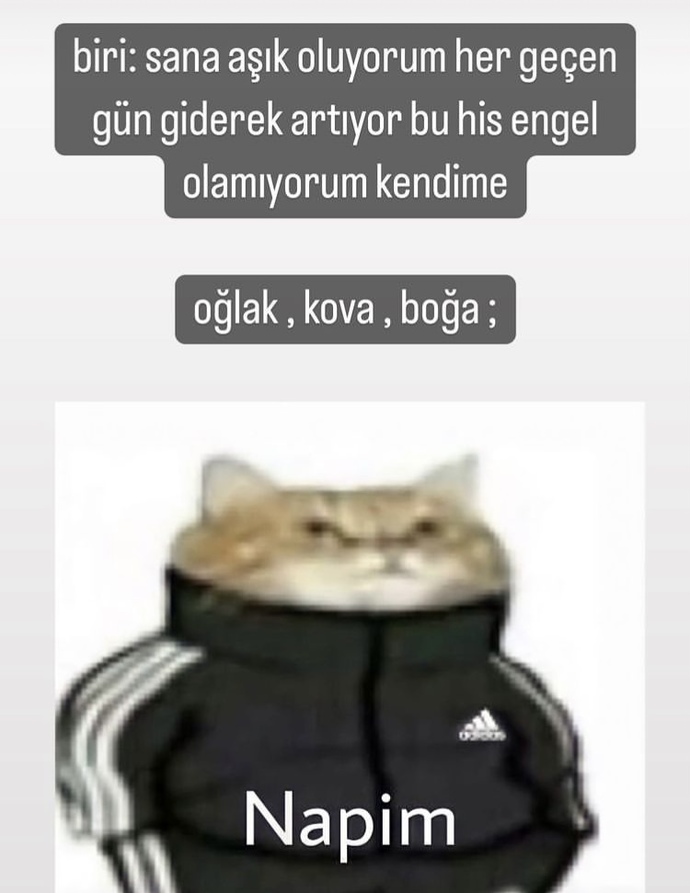 En nefret ettiğiniz burç hangisi? Ve nedenn?