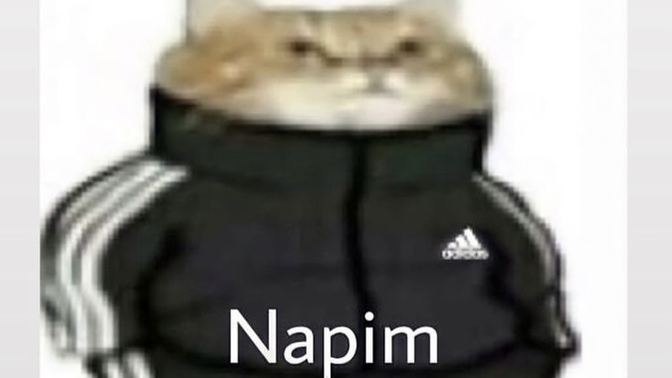 En nefret ettiğiniz burç hangisi? Ve nedenn?