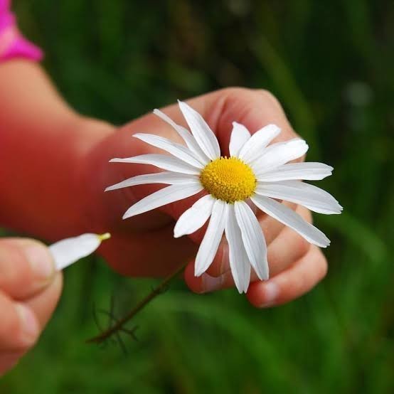 Bağlanmaktan mı korkuyorum yoksa sevmiyor muyum?