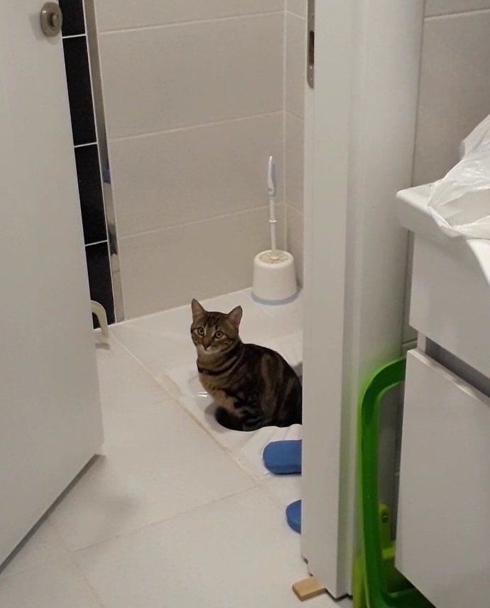 Görselini en iyi ifade eden kısa notunu buraya ekleyebilirsin..