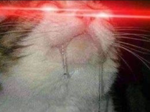 Anime kızları gerçek midir?