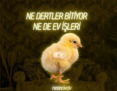 Dertleriniz mi daha çok işleriniz mi?