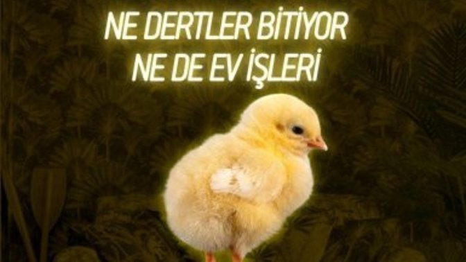 Dertleriniz mi daha çok işleriniz mi?