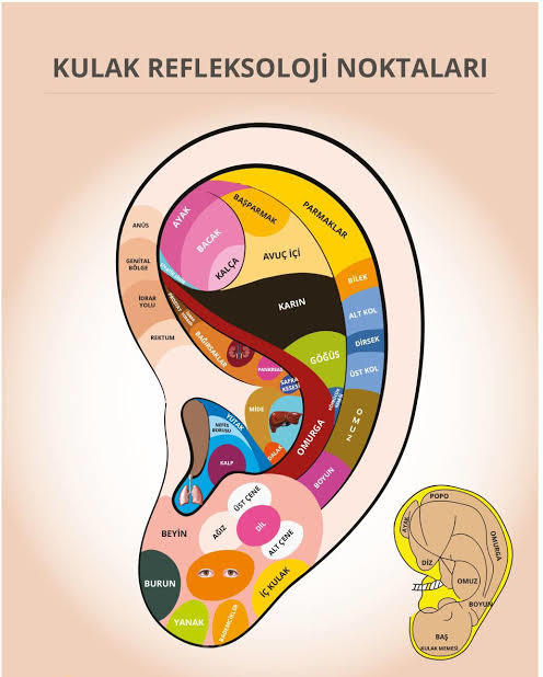 1 buçuk ay önce kıkırdak piercingi yaptırdım. Acısı ne kadar zamanda geçer?