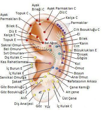 1 buçuk ay önce kıkırdak piercingi yaptırdım. Acısı ne kadar zamanda geçer?