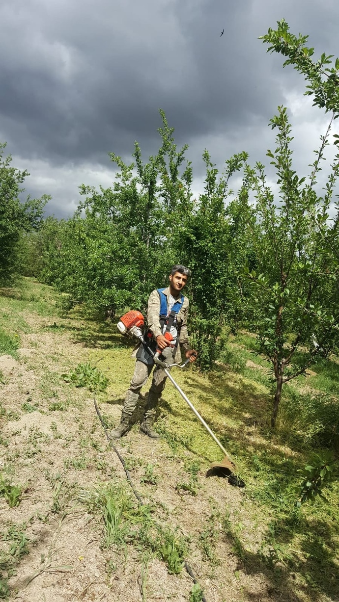 Bir hobi bahçeniz olsaydı bakımlarını yapar mıydınız?