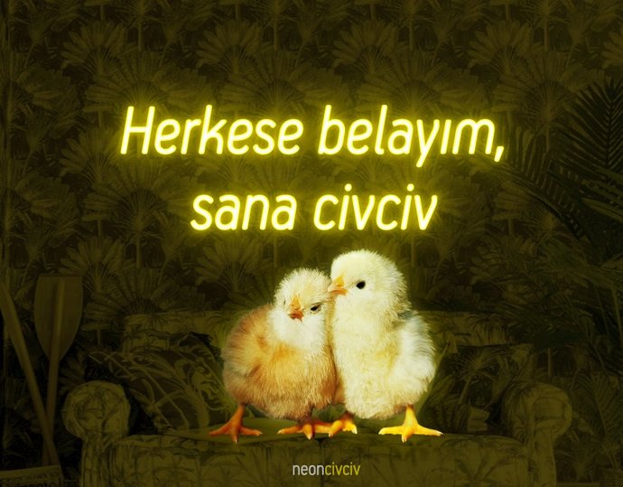 Kimlere sabrınız daha yüksektir?