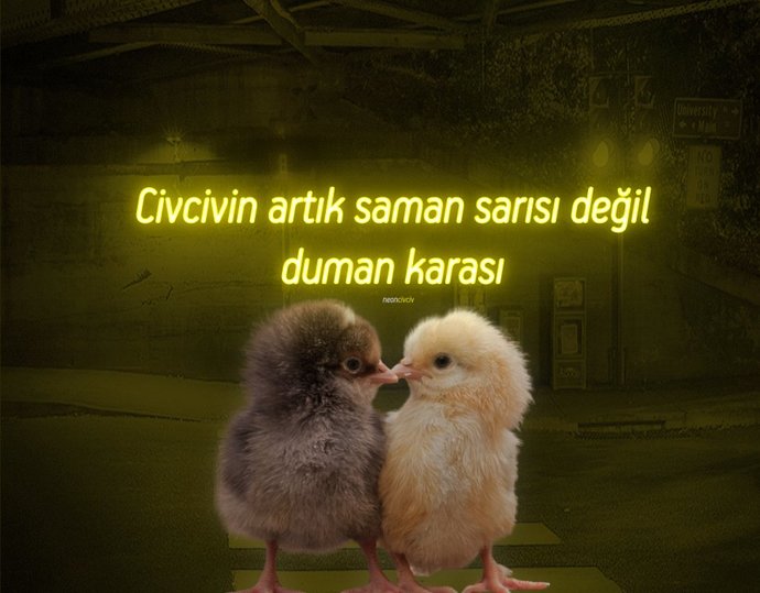 Hangi konuda artık daha tecrübelisin?