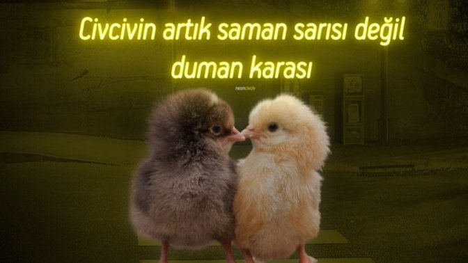 Hangi konuda artık daha tecrübelisin?