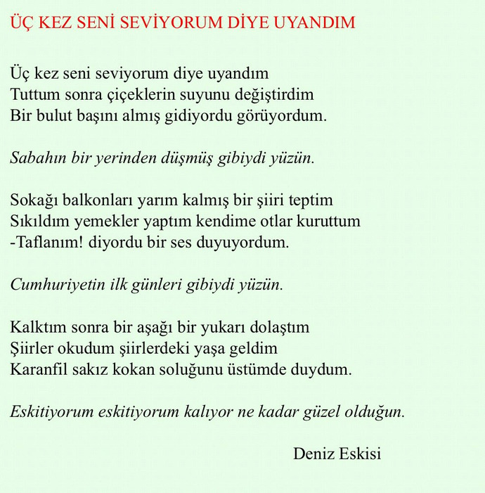 nasiplenin