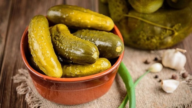Festivale geliyor musunuz?