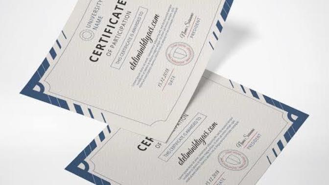 En son hangi eğitimi tamamlayıp, hangi sertifikayı/diplomayı aldınız?